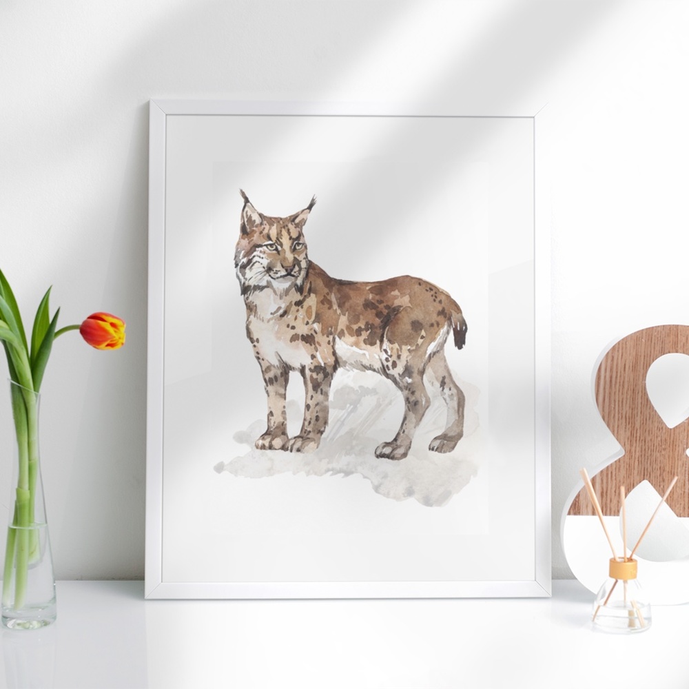 Wall Art Watercolor Lynx Bobcat Illustration Print Poster Unframed - Picture 3 of 17